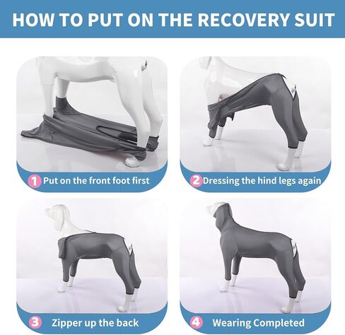 بدلة جراحية للكلاب، ملابس داخلية للكلاب سريعة الجفاف لإجراء العمليات الجراحية، بديل مخروطي للكلاب طويل الأكمام مضاد لللعق لجروح البطن، بيجامة للكلاب بدلة تساقط للحيوانات الأليفة للكلاب المتوسطة والكبيرة in Kuwait