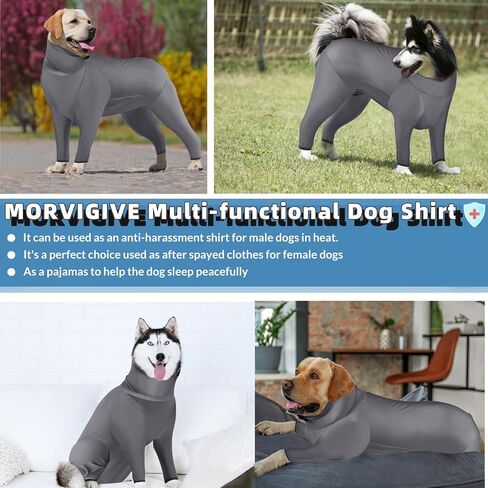 بدلة جراحية للكلاب، ملابس داخلية للكلاب سريعة الجفاف لإجراء العمليات الجراحية، بديل مخروطي للكلاب طويل الأكمام مضاد لللعق لجروح البطن، بيجامة للكلاب بدلة تساقط للحيوانات الأليفة للكلاب المتوسطة والكبيرة in Kuwait