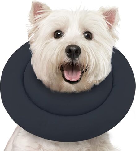 Pawfun Soft Dog Cone Alternative After Surgery,Comfortable Dog Recovery Collars Cones for Small Dogs,Adjustable Dog Neck Cone,Grey L20 5.12 in Kuwait