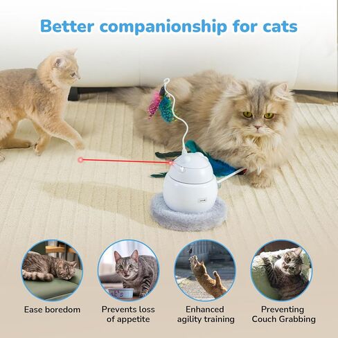 CATISM Cat Toys, Interactive Cat Toys for Indoor Cats, Automatic Cat Toy, 4-in-1 Hide and Seek Kitten Wand Toy, Cat Toys Self Play, Funny Chase Feather for Indoor Exercise in Kuwait