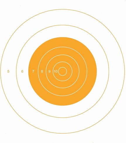 25 Yard Slow Fire Pistol Target, B-16, Bullseye Target, Archery, Gun, Rifle, Pistol, Airsoft, BB Gun, Air Rifle in Kuwait
