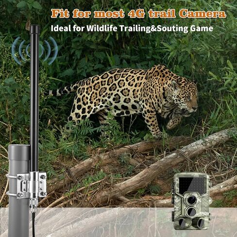 10dBi Outdoor 4G LTE Long Range Cellular Trail Camera Antenna with 16.4ft Cable for Spypoint LM2 Flex Link Micro Link EVO Stealth Cam Tactacam Reveal X PRO Gen Series Muddy Reolink Trail Camera in Kuwait