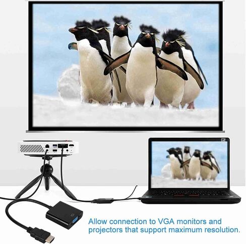 720p 1080p Male to VGA Female Video Converter Adapter Cable 2 Connect Laptops VG Male Cable to VGA Female CableHDMI Cable720p 1080p CableVideo Converter CableVideo in Saudi Arabia