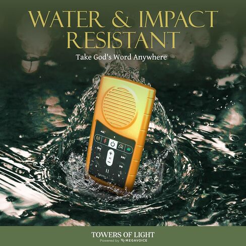 New Living Translation (NLT) Gold Daily Bible Reader in Saudi Arabia