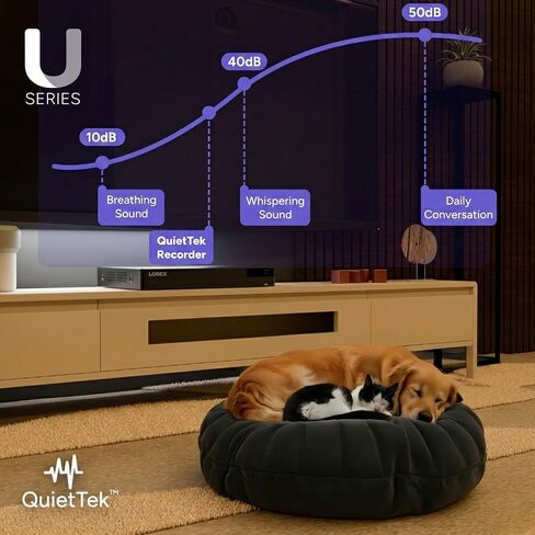 Lorex Connect (New App) | U-Series | 8Ch 4K NVR System | 5 Dome 2K+ Cameras in Kuwait