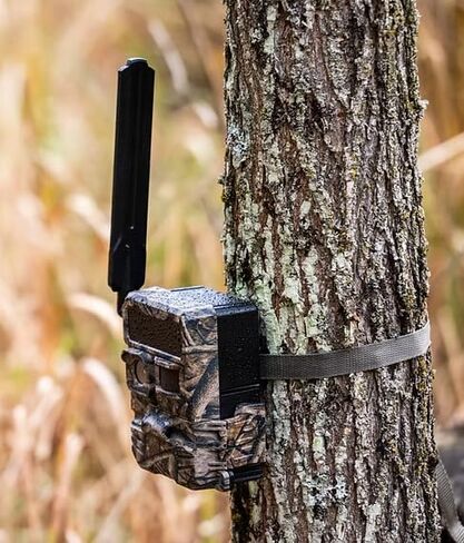 Yellowstone.ai Wide Lens Cellular Trail Camera Bundle High-Speed SD Card Viewer, Protective Carrying Case & Microfiber Cloth | 100° Wide-Angle Lens, GPS, 12MP Photos, 1080p HD Video in Saudi Arabia