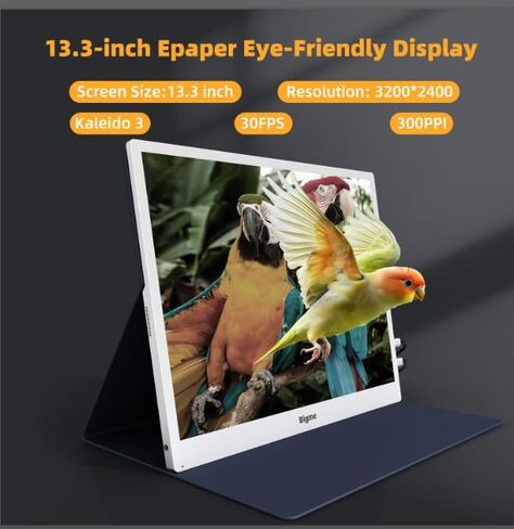 Bigme B13 13.3-Inch Color E-Paper Monitor, Remote Control Laptop Screen Extender in Saudi Arabia