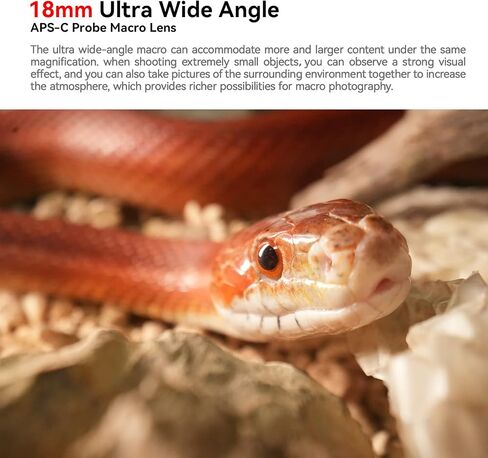 AstrHori 18mm F8 APS-C Wide Angle 2X Macro Probe Lens Built-in Ring Light for Panasonic Olympus M43 Mount Series Mirrorless Cameras gx85,G85,gx9,G95,G100,DC-BGH1,E-M10 Mark IV,E-P7.etc(Black) in Kuwait