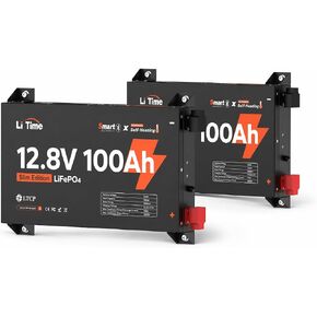 Litime 12V 100Ah Slim Self-Heating LiFePO4 Battery for RV Solar Van Truck in Kuwait