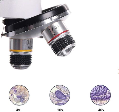 1600X Biological Microscope Kit All Metal Science Lab Experimental Biology Teaching in Saudi Arabia