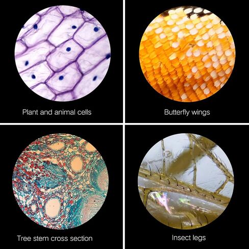 Biological Microscope Kit with Handbag Science Lab Experimental Biology Teaching in Saudi Arabia