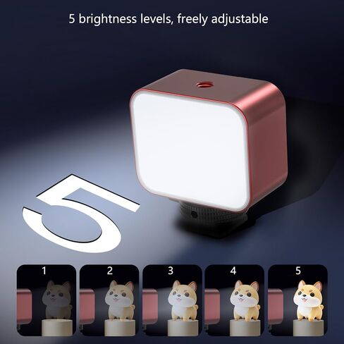 المهنية 36 LED لوحة ضوء 1100mAh بطارية المحمولة ملء للهواتف الذكية DSLR كاميرات العمل الحذاء البارد 1 / 4Hole الهاتف الذكي التصوير الفوتوغرافي in Kuwait