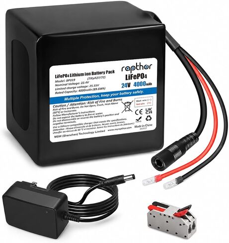 rapthor 24V 4Ah LiFePO4 Lithium Battery with 25.6V Charger, Bare Wire Leads in Kuwait