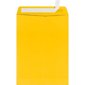 LUXPaper 9 x 12 Open End Window Envelopes | Peel & Press | Sunflower Yellow | 80lb. Text | 1,000 Qty…