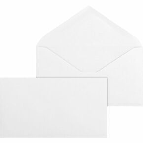 Business Source 42252 Business Envelopes,24 lb.,No.6-3/4,3-5/8-Inch x6-1/2-Inch ,500/BX,WE
