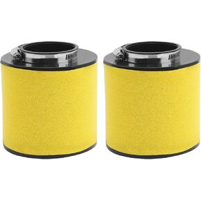 Road Passion 2pcs Air Filter Recon 250 17254-HM8-000 Compatible with Honda TRX250TE TRX250TM Sportrax TRX250EX TRX250X TRX 250 TE TRX 250 TM Sportrax TRX 250 EX TRX 250 X Recon 250 ATV