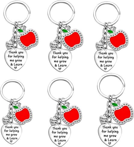 Nimteve 6 PCS Teacher Keychain Teachers Appreciation Gifts from Students Graduation Gifts for Teachers Teachers Keyring Gifts in Saudi Arabia