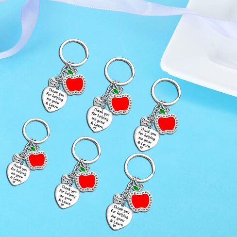Nimteve 6 PCS Teacher Keychain Teachers Appreciation Gifts from Students Graduation Gifts for Teachers Teachers Keyring Gifts in Saudi Arabia