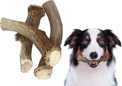 Premium White Tail Deer Antler Dog Chews, 100% All Natural, Naturally Shed Antlers, Select Cut to Size, Sanded Smooth, Dog Bones (5 Pack) (Small) in Saudi Arabia