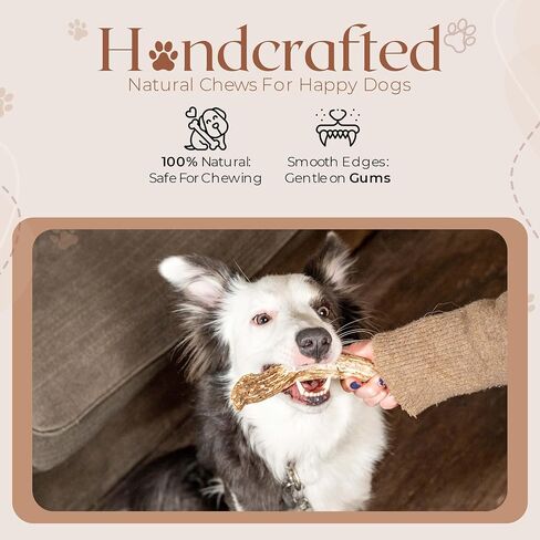 Premium White Tail Deer Antler Dog Chews, 100% All Natural, Naturally Shed Antlers, Select Cut to Size, Sanded Smooth, Dog Bones (5 Pack) (Small) in Saudi Arabia