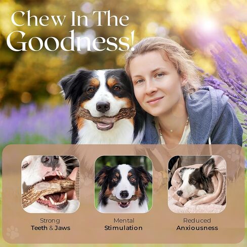Premium White Tail Deer Antler Dog Chews, 100% All Natural, Naturally Shed Antlers, Select Cut to Size, Sanded Smooth, Dog Bones (5 Pack) (Small) in Saudi Arabia