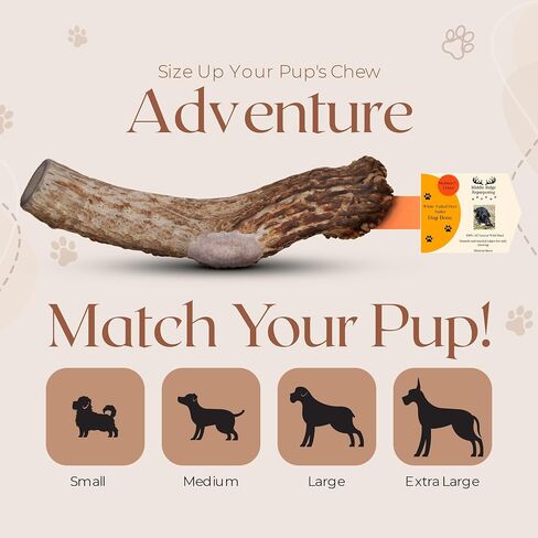 Premium White Tail Deer Antler Dog Chews, 100% All Natural, Naturally Shed Antlers, Select Cut to Size, Sanded Smooth, Dog Bones (5 Pack) (Small) in Saudi Arabia