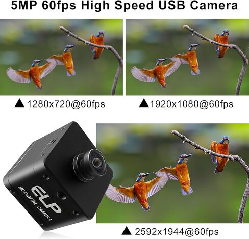 5MP Global Shutter USB Camera, High Speed 60fps Webcam for Laptop in Kuwait
