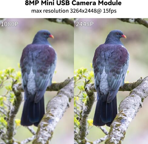 8MP USB Camera Module, Webcam Board with 90-Degree No Distortion Lens in Kuwait