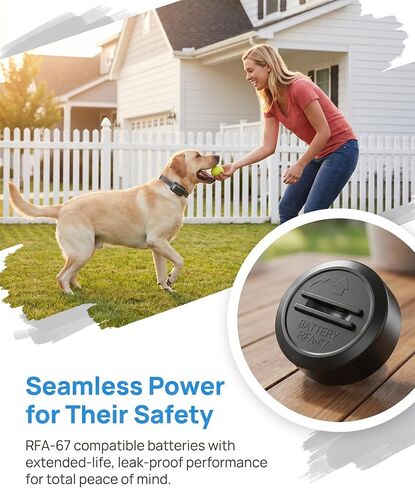 POWXS RFA-67 6 Volt Replacement Pet Dog Collar Batteries 10 Pack in Saudi Arabia