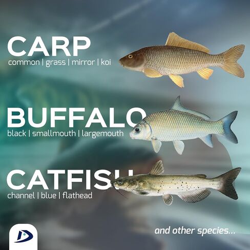 Ready-to-Go Complete Carp Rig - Spring Feeder with a Spike | Carp, Buffalo, Catfish | for Boilies and Pop-Ups in Saudi Arabia
