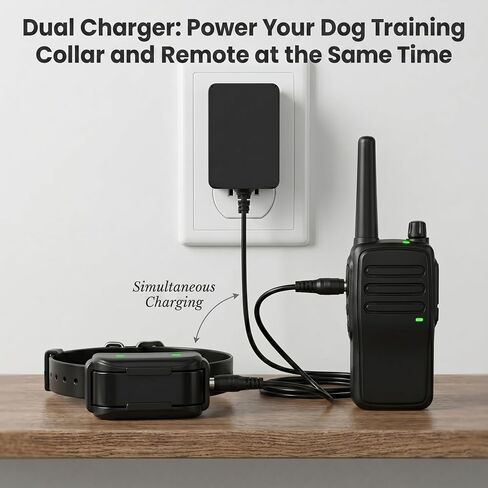 10V Charger for Dogtra Remote Training Collar Compatible with Dogtra 1900S 1902S 2300NCP 2500B 3500NCP 3502NCP Remote Trainer Collar for Replacement HK-AJ-100A150-US AC/DC Power Cord Adapter in Kuwait