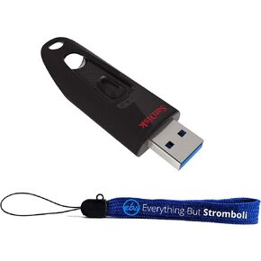 SanDisk USB Flash Drive Ultra 256GB Type-A Flash Drives (SDCZ48-256G-U46) Bundle with (1) Everything But Stromboli Lanyard in Kuwait