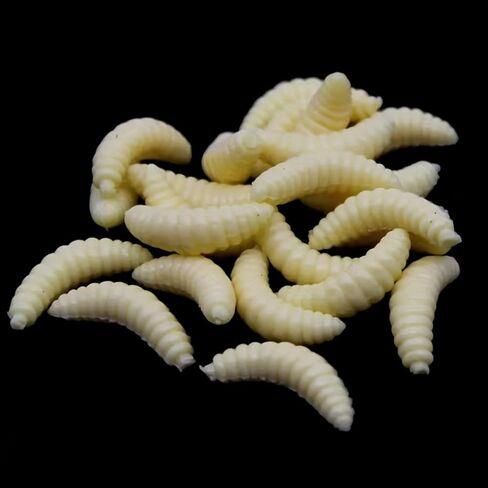 Waxworms & Fake Maggots – Realistic Soft Fishing Lures for Crappie, Trout, Panfish, Bluegill & Perch – Artificial Worms for 1/64–1/80 oz Jig Heads or Floats in Saudi Arabia