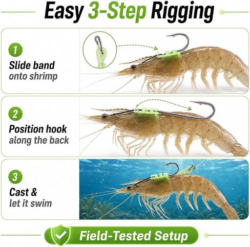 10 Pack Luminous Live Shrimp Hooks – High Carbon Steel Fishing Hooks Saltwater Corrosion Resistant, Barbed Offset Hooks for Freshwater, Ideal for Bass Grouper Pike Catfish, with Silicone Bands in Kuwait