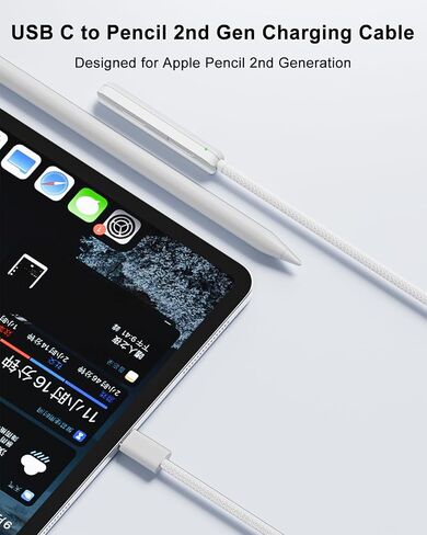 AreMe USB C to Pencil (2nd Generation) Charging Adapter Cable, 1.6FT in Kuwait