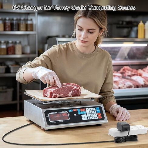 6V Adapter Charger Compatible with Torrey PC-80L PC-80LT PC HS PCHS Scale in Kuwait