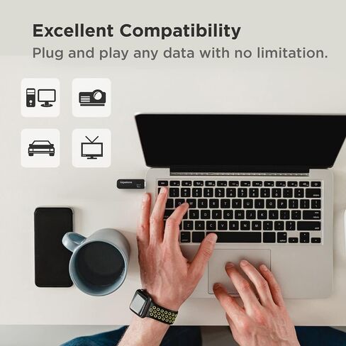 GIGASTONE V30 32GB USB 2.0 Flash Drive 2-Pack, Capless Retractable Design Pen Drive, Carbon Fiber Style, Reliable Performance & Durable in Kuwait