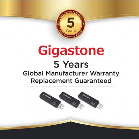 GIGASTONE V30 32GB USB 2.0 Flash Drive 2-Pack, Capless Retractable Design Pen Drive, Carbon Fiber Style, Reliable Performance & Durable in Kuwait