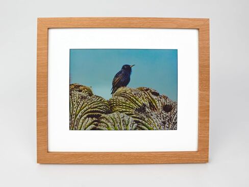 Cloud Canvas Cordless Digital Picture Frame, WiFi Photo Frame with Rechargeable Battery, Wireless App-Controlled Display for Photos & Memories, 10", Wood in Kuwait