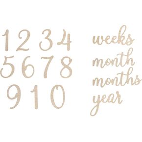 Pearhead Acrylic Monthly Milestone Photo Cards, Months 1-12, Pink in Saudi Arabia