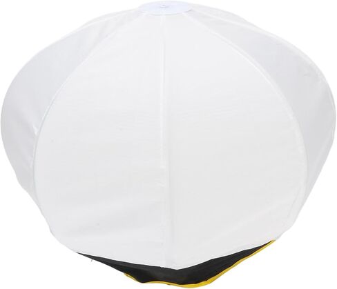 12 Inch Lantern Softbox, 270 Degree Light Diffuser with Mini Mount, for COB LED Video Studio Light in Kuwait