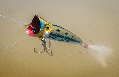 Rebel Lures Pop-R Topwater Popper Fishing Lure, Baby Bass, Super Pop-R (5/16 oz), One Size in Kuwait