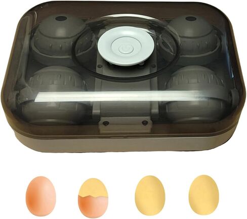 Electric Golden Egg Maker, 4-at-a-Time in Kuwait