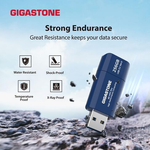 GIGASTONE Z80 256GB 2Pk USB 3.2 Gen2 Solid State Drive, High Speed 1000MB/s, Capless Retractable Design Pen Drive, Carbon Fiber Style, Reliable & Durable, USB 2.0/3.0/3.1 Compatible in Kuwait