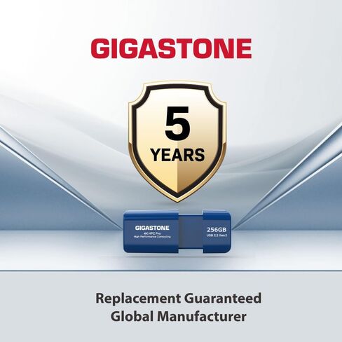 GIGASTONE Z80 256GB 2Pk USB 3.2 Gen2 Solid State Drive, High Speed 1000MB/s, Capless Retractable Design Pen Drive, Carbon Fiber Style, Reliable & Durable, USB 2.0/3.0/3.1 Compatible in Kuwait