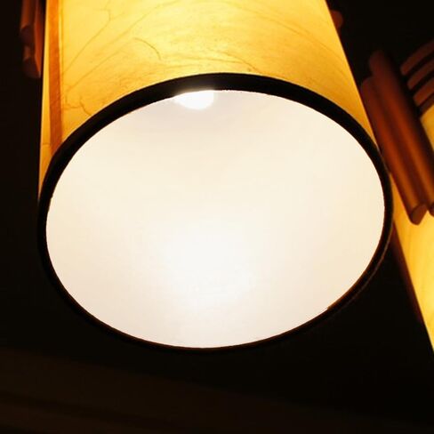 Ceiling Light Diffuser Disc 13.6 Inch Frosted Acrylic Panel in Kuwait