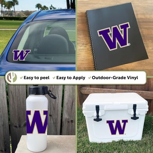 Desert Cactus Washington Huskies Sticker Decal (IND 1) in Kuwait