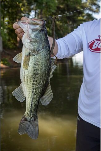 Berkley PowerBait MaxScent Fishing Soft Bait in Kuwait