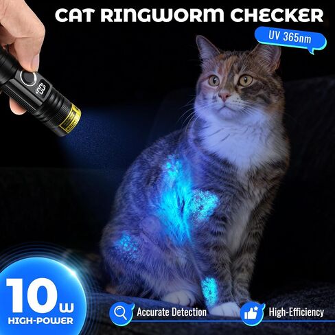 DARKBEAM 365nm UV Flashlight Rechargeable Black Light with LCD Display Clip in Kuwait