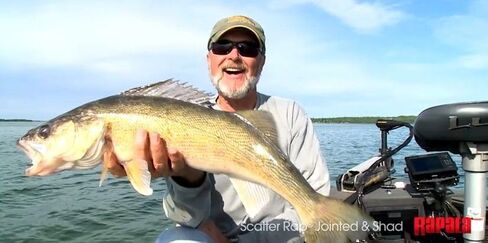 Rapala Scatter Rap Jointed 09 Yellow Perch in Kuwait